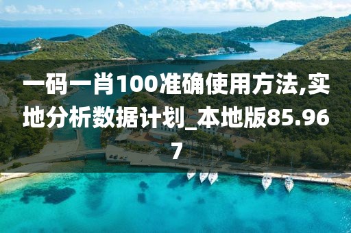 一碼一肖100準(zhǔn)確使用方法,實(shí)地分析數(shù)據(jù)計(jì)劃_本地版85.967