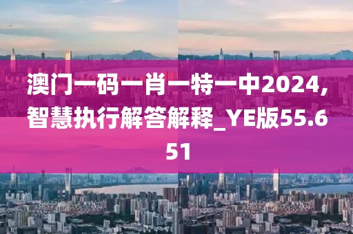澳門一碼一肖一特一中2024,智慧執(zhí)行解答解釋_YE版55.651