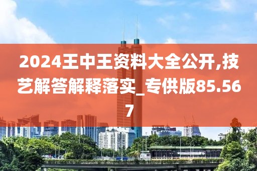 2024王中王資料大全公開,技藝解答解釋落實(shí)_專供版85.567