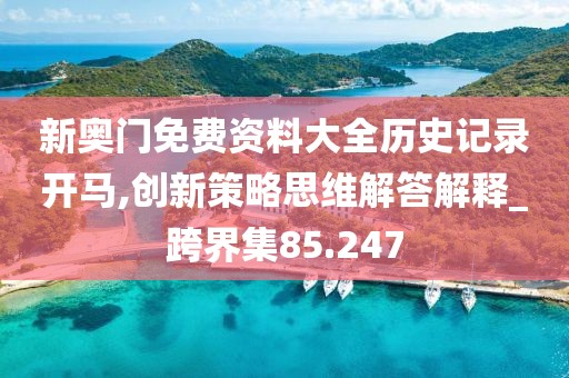 新奧門免費資料大全歷史記錄開馬,創(chuàng)新策略思維解答解釋_跨界集85.247