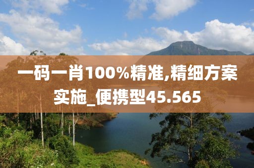一碼一肖100%精準(zhǔn),精細(xì)方案實(shí)施_便攜型45.565