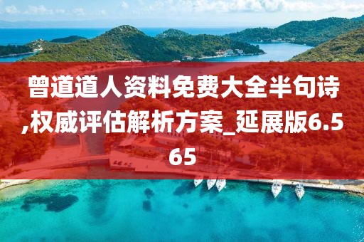 曾道道人資料免費(fèi)大全半句詩(shī),權(quán)威評(píng)估解析方案_延展版6.565
