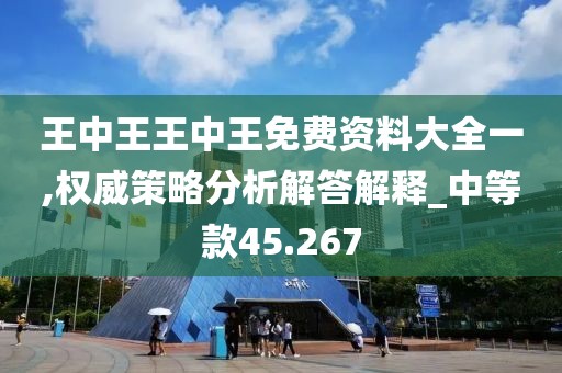 王中王王中王免費(fèi)資料大全一,權(quán)威策略分析解答解釋_中等款45.267