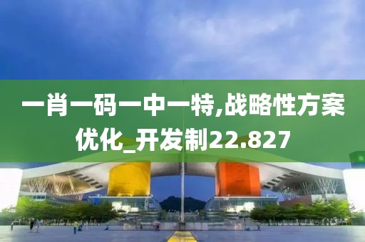 一肖一碼一中一特,戰(zhàn)略性方案優(yōu)化_開發(fā)制22.827