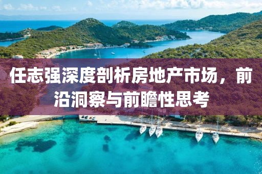 任志強(qiáng)深度剖析房地產(chǎn)市場(chǎng)，前沿洞察與前瞻性思考