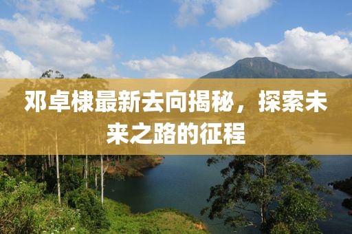 鄧卓棣最新去向揭秘，探索未來之路的征程