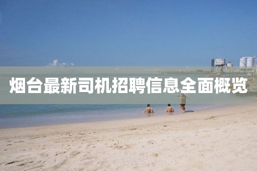 煙臺最新司機招聘信息全面概覽