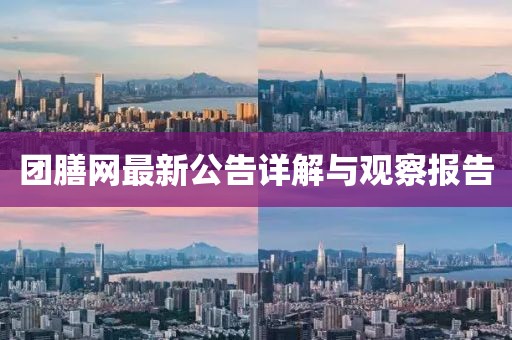 團(tuán)膳網(wǎng)最新公告詳解與觀察報(bào)告