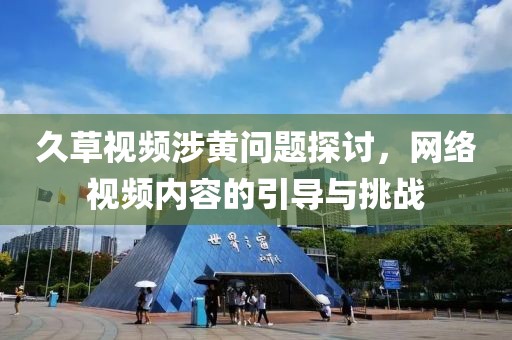 久草視頻涉黃問(wèn)題探討，網(wǎng)絡(luò)視頻內(nèi)容的引導(dǎo)與挑戰(zhàn)