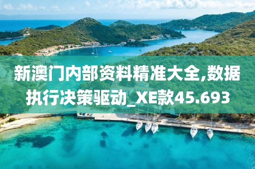 新澳門內(nèi)部資料精準(zhǔn)大全,數(shù)據(jù)執(zhí)行決策驅(qū)動(dòng)_XE款45.693