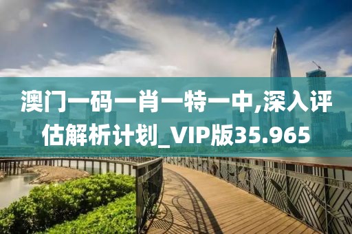 澳門一碼一肖一特一中,深入評(píng)估解析計(jì)劃_VIP版35.965