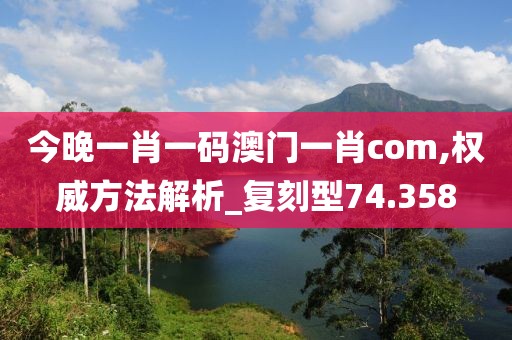 今晚一肖一碼澳門一肖com,權(quán)威方法解析_復(fù)刻型74.358