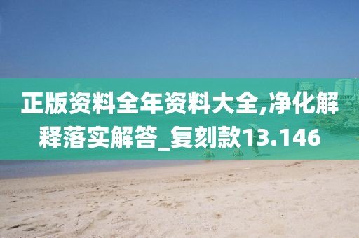 正版資料全年資料大全,凈化解釋落實解答_復刻款13.146