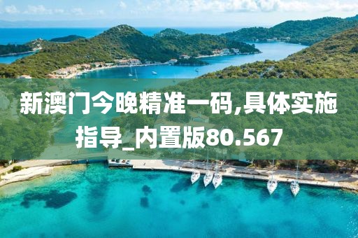 新澳門今晚精準一碼,具體實施指導_內(nèi)置版80.567
