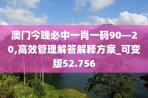 澳門今晚必中一肖一碼90—20,高效管理解答解釋方案_可變版52.756