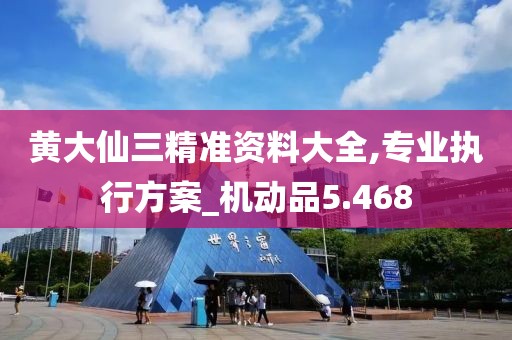 黃大仙三精準(zhǔn)資料大全,專業(yè)執(zhí)行方案_機(jī)動(dòng)品5.468