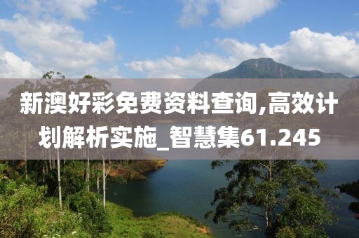 新澳好彩免費資料查詢,高效計劃解析實施_智慧集61.245