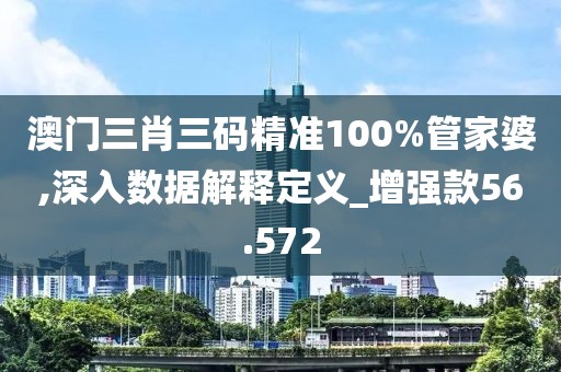 澳門三肖三碼精準100%管家婆,深入數(shù)據(jù)解釋定義_增強款56.572
