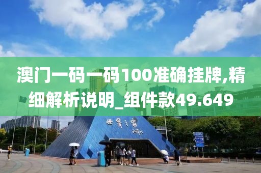 澳門一碼一碼100準(zhǔn)確掛牌,精細(xì)解析說明_組件款49.649