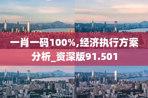 一肖一碼100%,經(jīng)濟(jì)執(zhí)行方案分析_資深版91.501