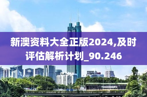 新澳資料大全正版2024,及時評估解析計劃_90.246