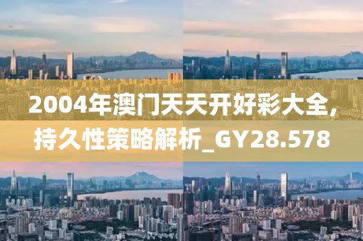 2004年澳門天天開好彩大全,持久性策略解析_GY28.578