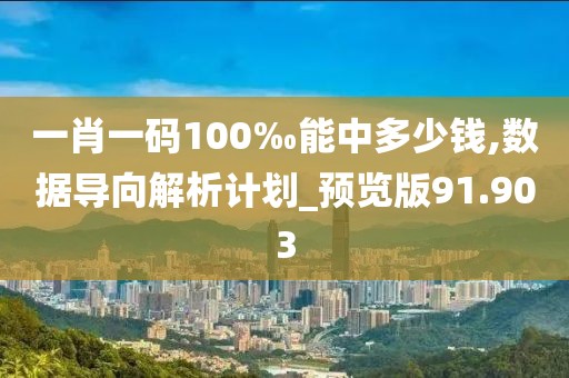一肖一碼100‰能中多少錢,數(shù)據(jù)導(dǎo)向解析計(jì)劃_預(yù)覽版91.903