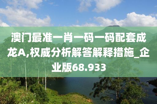 澳門最準(zhǔn)一肖一碼一碼配套成龍A,權(quán)威分析解答解釋措施_企業(yè)版68.933