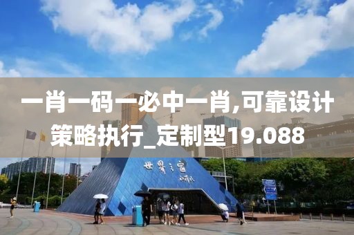 一肖一碼一必中一肖,可靠設(shè)計策略執(zhí)行_定制型19.088