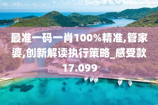 最準(zhǔn)一碼一肖100%精準(zhǔn),管家婆,創(chuàng)新解讀執(zhí)行策略_感受款17.099