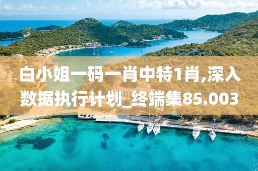 白小姐一碼一肖中特1肖,深入數(shù)據(jù)執(zhí)行計劃_終端集85.003