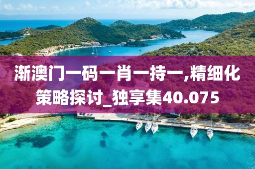 漸澳門一碼一肖一持一,精細(xì)化策略探討_獨(dú)享集40.075