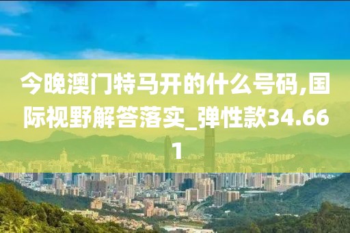 今晚澳門特馬開的什么號碼,國際視野解答落實_彈性款34.661