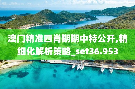 澳門精準四肖期期中特公開,精細化解析策略_set36.953
