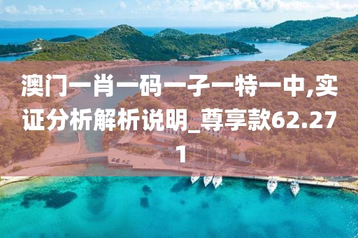 澳門一肖一碼一孑一特一中,實證分析解析說明_尊享款62.271