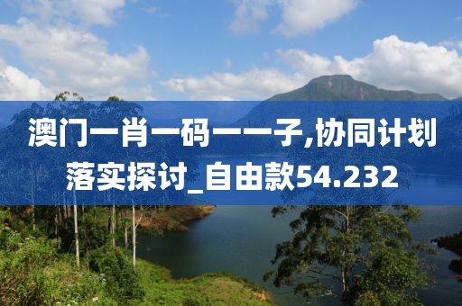 澳門一肖一碼一一子,協(xié)同計(jì)劃落實(shí)探討_自由款54.232
