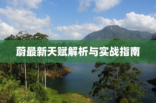 蔚最新天賦解析與實(shí)戰(zhàn)指南