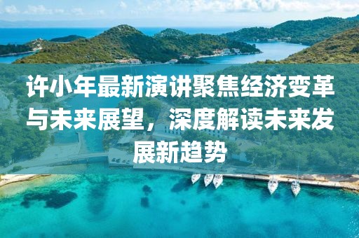 許小年最新演講聚焦經(jīng)濟變革與未來展望，深度解讀未來發(fā)展新趨勢