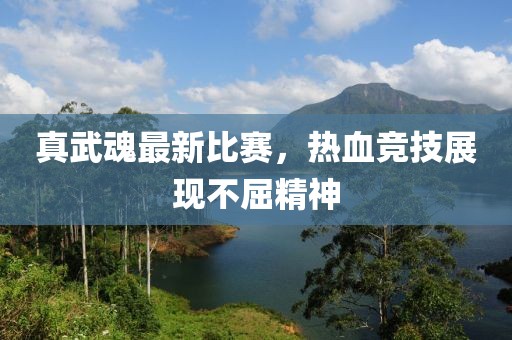 真武魂最新比賽，熱血競技展現(xiàn)不屈精神