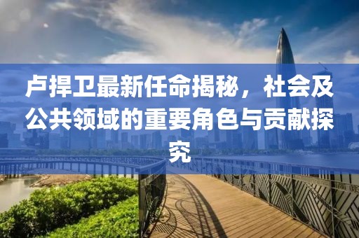 盧捍衛(wèi)最新任命揭秘，社會(huì)及公共領(lǐng)域的重要角色與貢獻(xiàn)探究