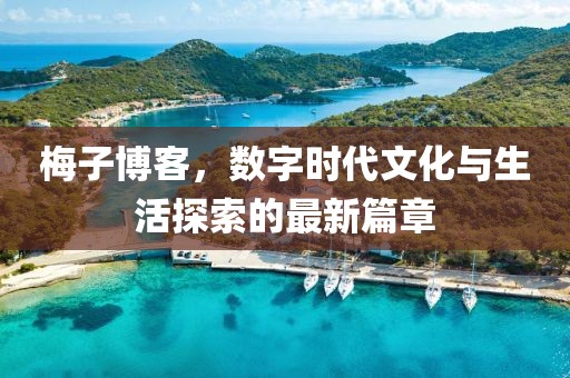 梅子博客，數(shù)字時代文化與生活探索的最新篇章