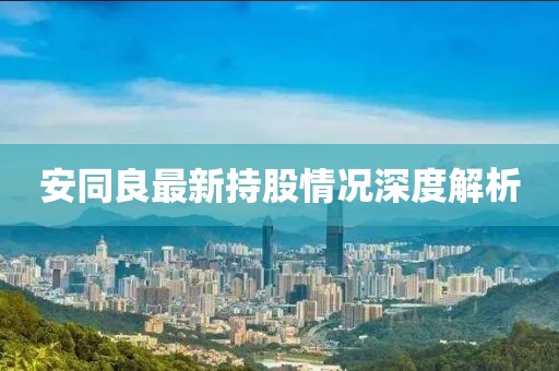 安同良最新持股情況深度解析