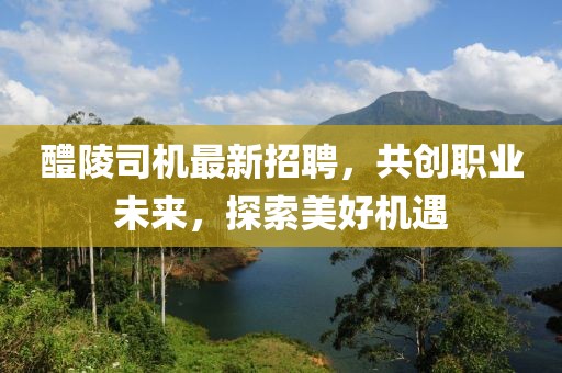 醴陵司機最新招聘，共創(chuàng)職業(yè)未來，探索美好機遇