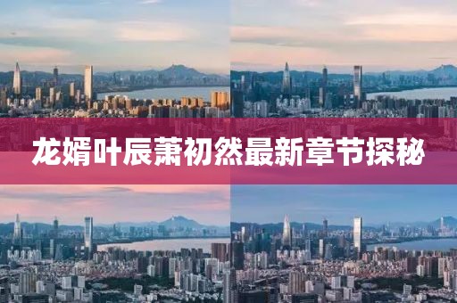 龍婿葉辰蕭初然最新章節(jié)探秘