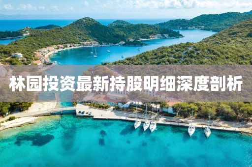林園投資最新持股明細(xì)深度剖析