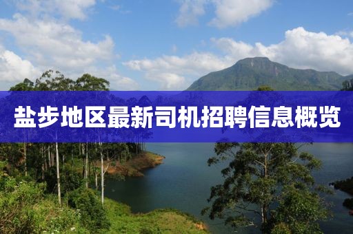 鹽步地區(qū)最新司機(jī)招聘信息概覽