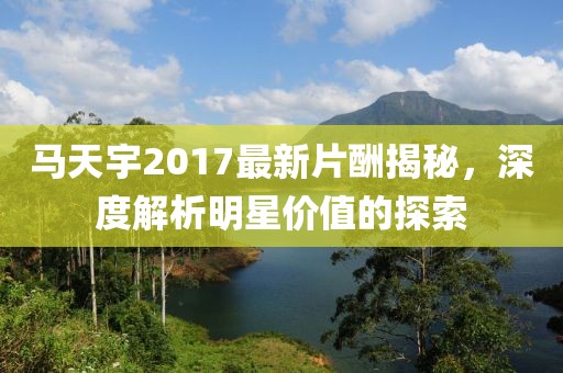 馬天宇2017最新片酬揭秘，深度解析明星價(jià)值的探索