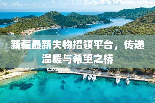 新疆最新失物招領(lǐng)平臺，傳遞溫暖與希望之橋