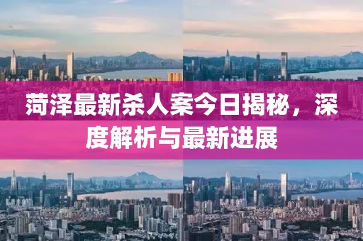 菏澤最新殺人案今日揭秘，深度解析與最新進(jìn)展