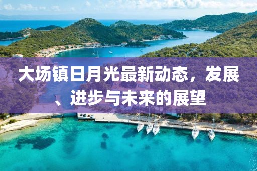 大場鎮(zhèn)日月光最新動態(tài)，發(fā)展、進步與未來的展望